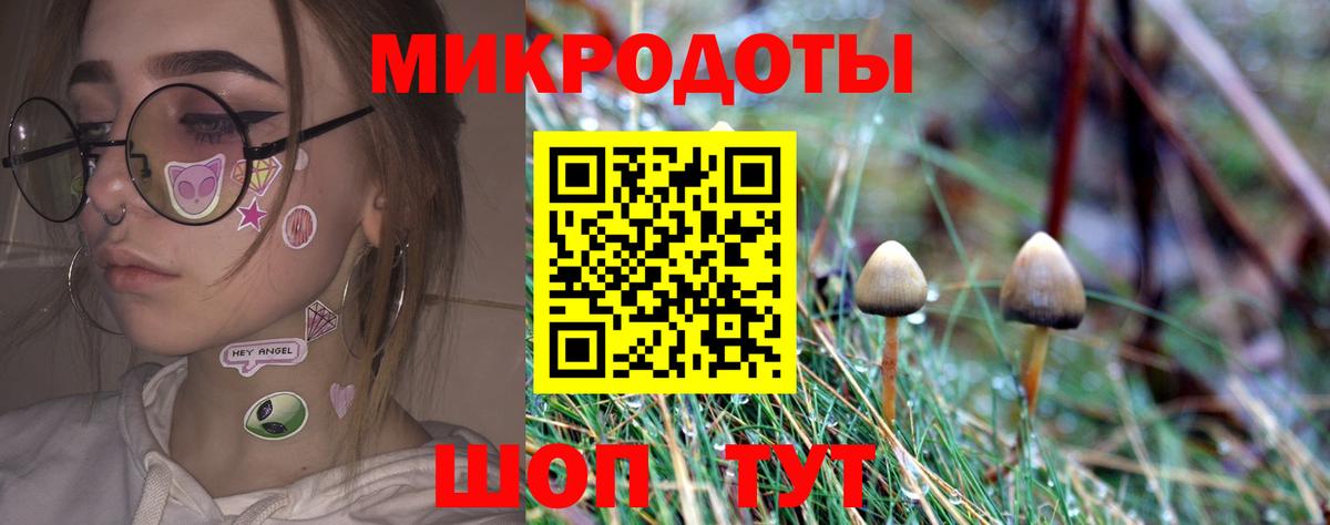 Нововоронеж  Псилоцибиновые грибы Magic Shrooms  Вход с VPN  Псилоцибиновые грибы мухоморы 